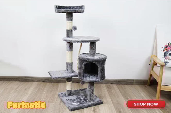 Cat Tree & Scratching Post | Purr-fect for Feline Friends!
