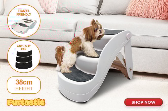 Foldable Dog Ramps | A Must-Have for Pups!