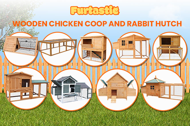 Furtastic Coops & Hutches | A Happy Habitat for Every Pet!