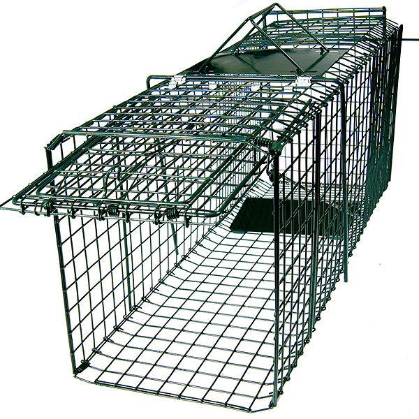 Small Animal Trap