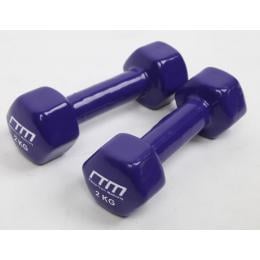 2kg Dumbbells Pair Pvc Hand Weights Rubber Coated