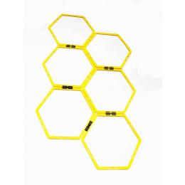 Fitness Agility Grid System