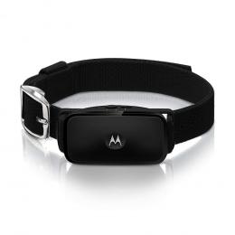 Motorola Duosonic Bark Control Collar