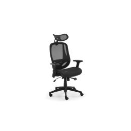 Ergolux EZ9 Ergonomic Mesh Office Chair Black