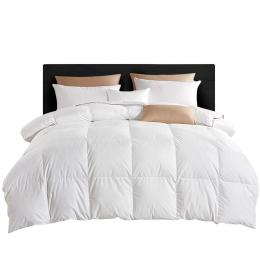 Bedding 800GSM Goose Down Feather Quilt Cover Winter Doona White Queen