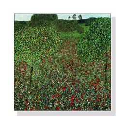 50cmx50cm Field Of Poppies By Gustav Klimt White Frame Canvas Wall Art