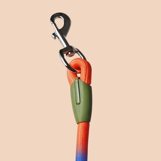 220cm Multifunction Hands-Free Rope Pet Dog Puppy Leash Rainbow Image 5