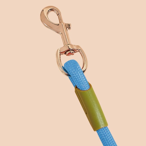 220cm Multifunction Hands-Free Rope Pet Cat Dog Leash - Blue Image 5