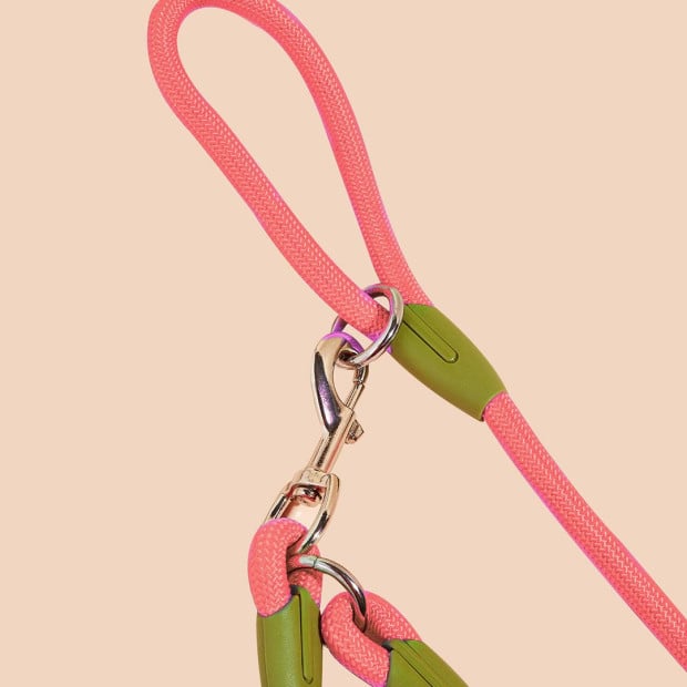 220cm Multifunction Rope Pet Cat Dog Puppy Double Ended Leash Pink Image 6