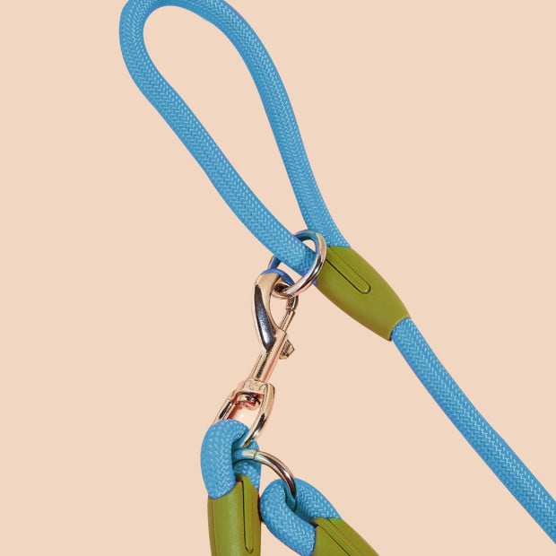 220cm Multifunction Hands-Free Rope Pet Cat Dog Leash - Blue Image 6