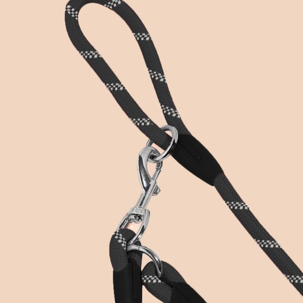 220cm Multifunction Hands-Free Rope Pet Cat Dog Leash Black Image 6