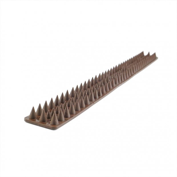 Cat Bird Possum Spiked 10pcs