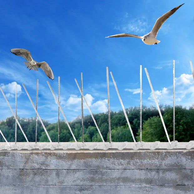 10x 50cm Bird Spikes  PP base Pigeon Gull Starling Image 8