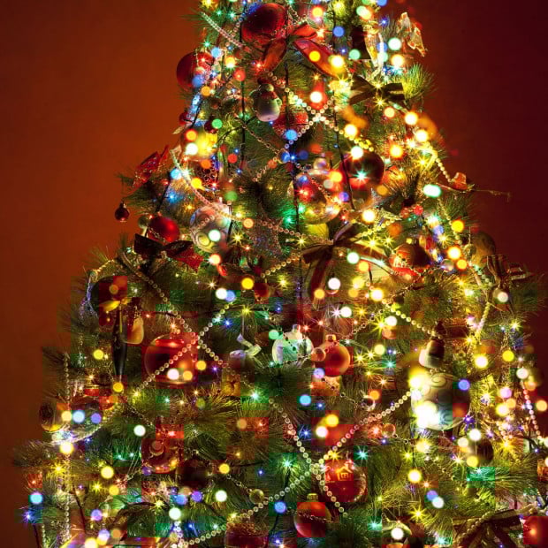 Decor Solar Powered Outdoor Fairy Lights - Multicoloured - 200 Lights Image 3