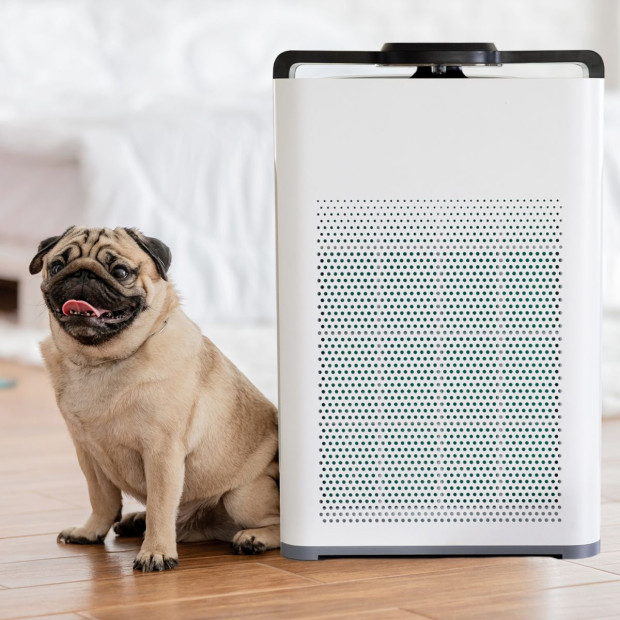 Pure Max Air Purifier Carbon Filter 5-In-1 Cleaning System White Image 4