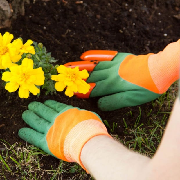 Yard Hands Garden Gloves All in One Garden and Gloves Image 4
