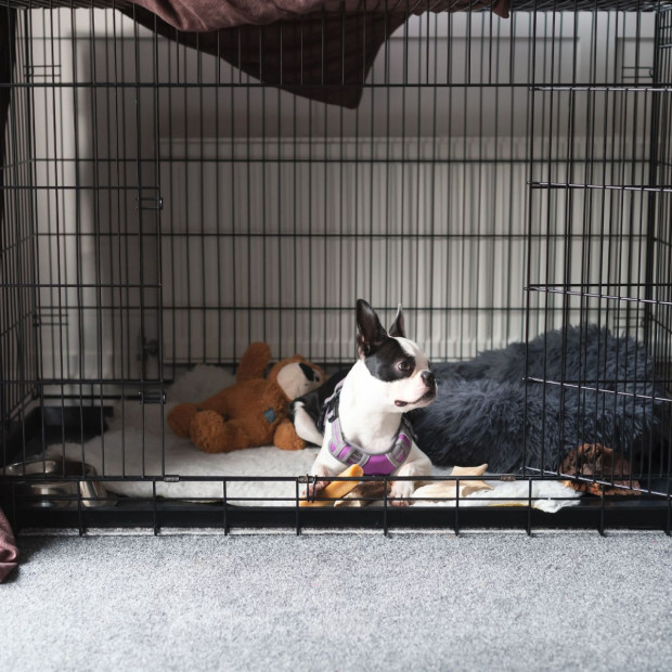 Dog Cage Pet Crate Cat Puppy Metal Cage Foldable Portable - 42in Black Image 4