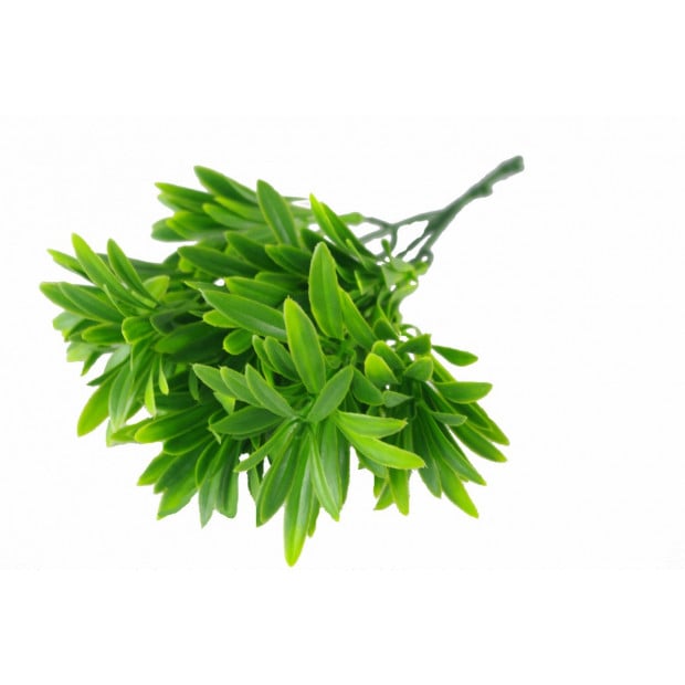 Rohdea Stem Artificial Plant Green Leaves - 27cm Image 2