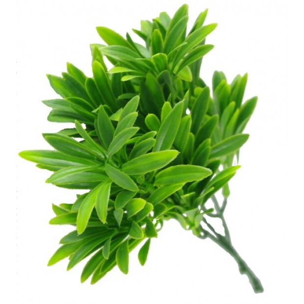 Rohdea Stem Artificial Plant Green Leaves - 27cm