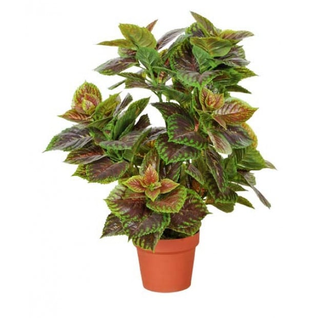 Artificial Purple Perilla Plant 70cm