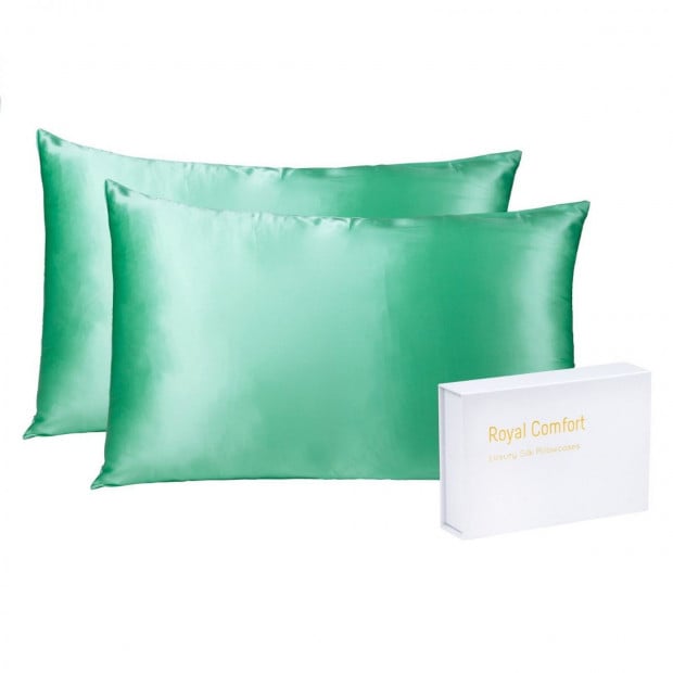 Mulberry Soft Silk Hypoallergenic Pillowcase 51 x 76cm Mint