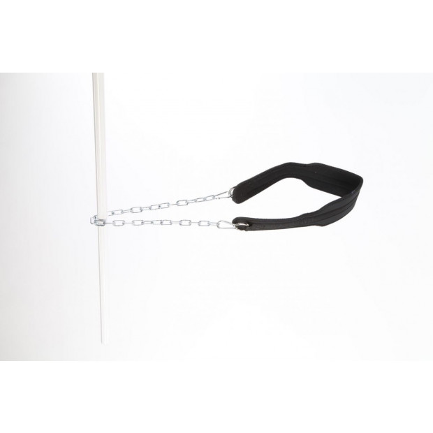 Weightlifting Belt Image 2