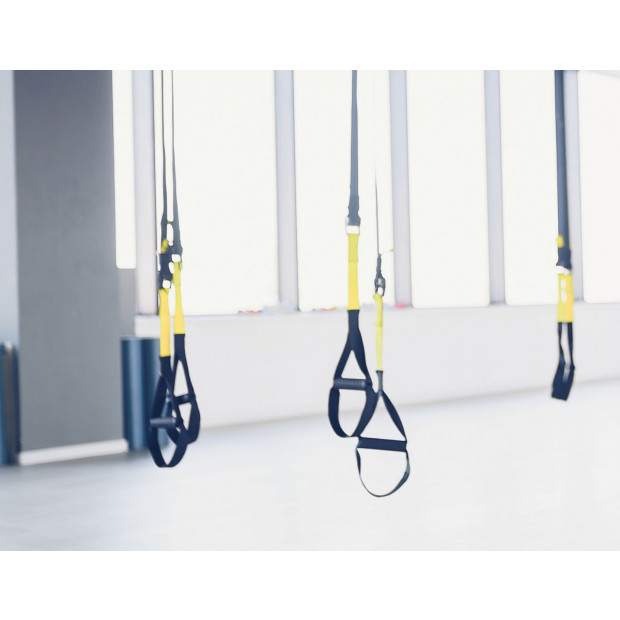 Suspension Trainer Straps Workout Image 2