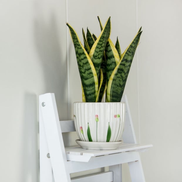 5 Tier Wooden Ladder Shelf Stand Storage Book Shelves Display Rack White Image 7