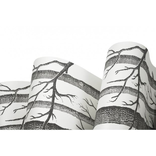 Wallpaper White Birch Tree Non-woven Wall Paper Roll Image 3