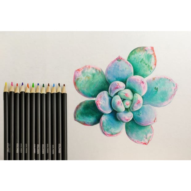 Art Sketch Pencils Oil Drawing Colouring Charcoal Pencil 72pcs/set Image 4