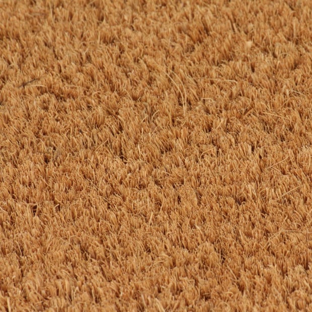 Doormat Coir 17 Mm 80x100 Cm Natural Image 2