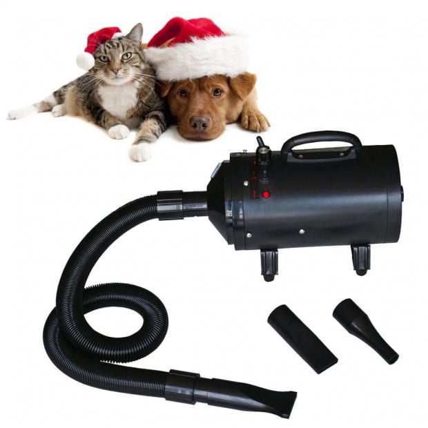 Dog Hair Dryer With 3 Nozzles Black 2400W Image 5