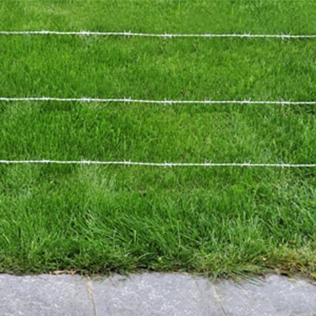 Barbed Wire 500 M Image 3