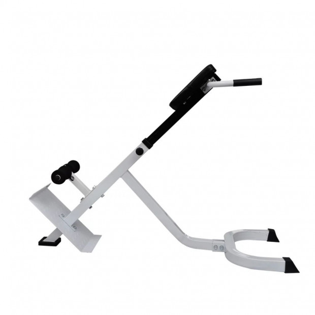 Back Extension Bench Image 3
