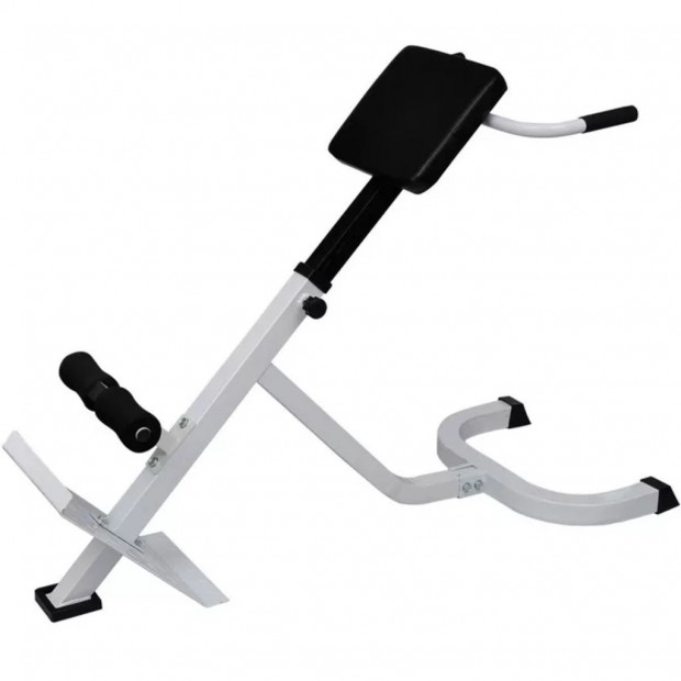 Back Extension Bench Image 6