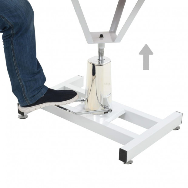 Hydraulic Bath Grooming Table For Dogs Pets Adjustable Swivel Image 2