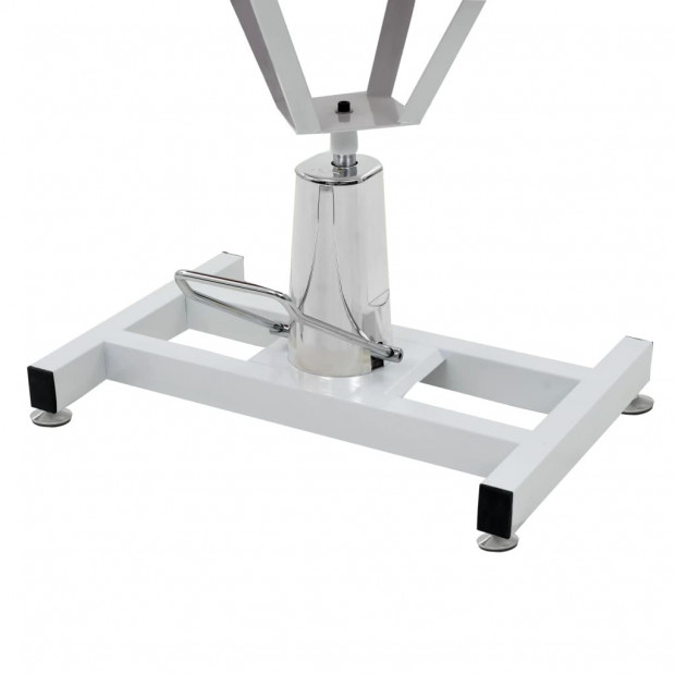 Hydraulic Bath Grooming Table For Dogs Pets Adjustable Swivel Image 5
