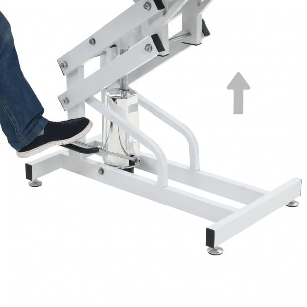 Hydraulic Bath Grooming Table For Dogs Cats Pets Adjustable Image 2