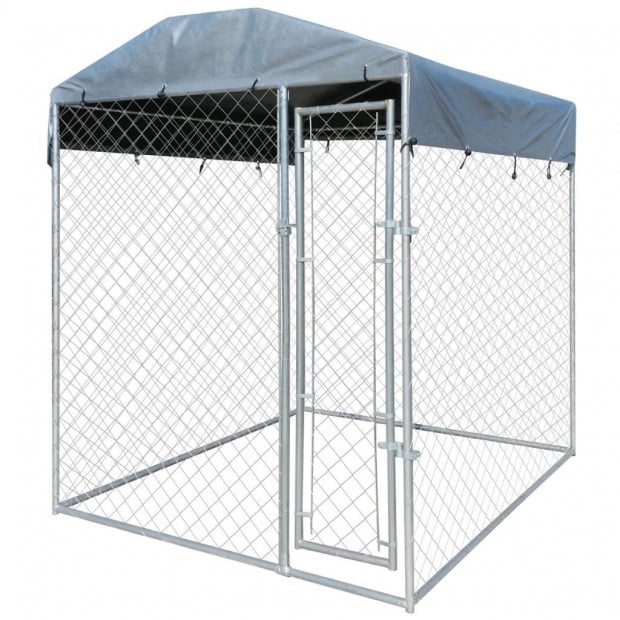 Outdoor Dog Kennel With Canopy Top 2x2 M