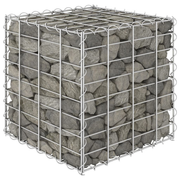 Cube Gabion Raised Bed Steel Wire 40x40x40 Cm