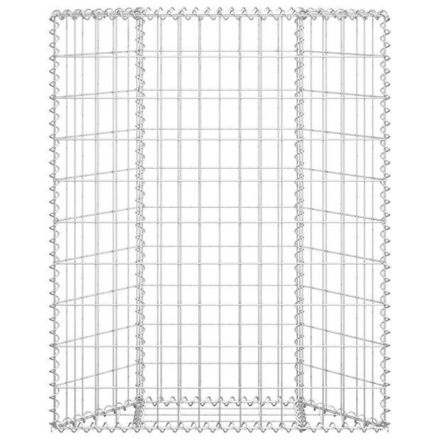 Trapezium Gabion Raised Bed Galvanised Steel 100x20x100 Cm Image 3