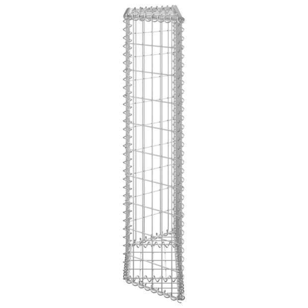 Trapezium Gabion Raised Bed Galvanised Steel 100x20x100 Cm Image 4