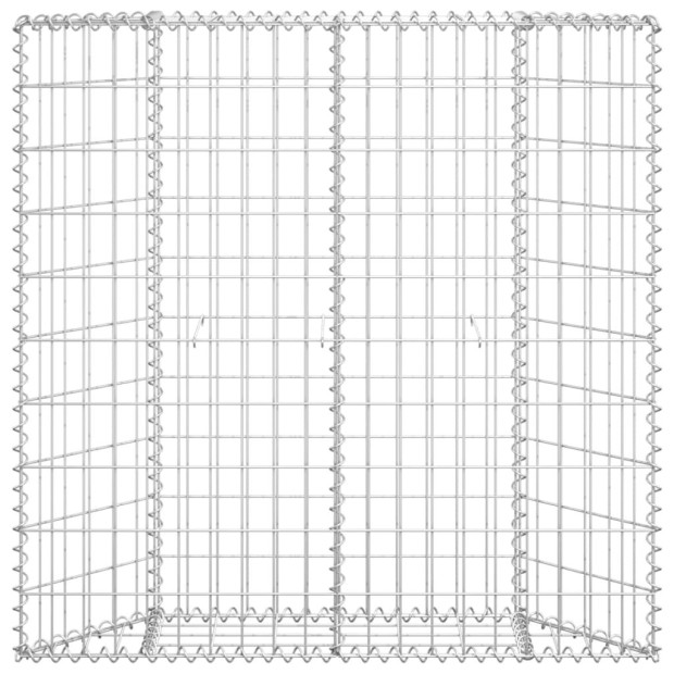 Trapezium Gabion Raised Bed Galvanised Steel 100x20x100 Cm Image 3