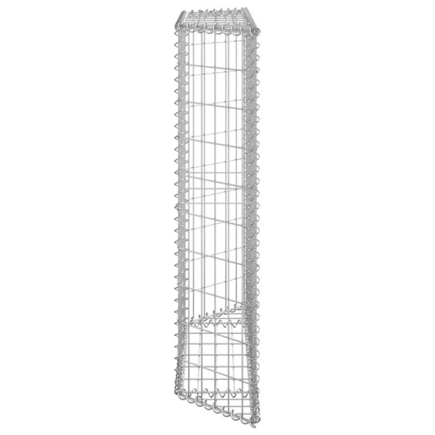 Trapezium Gabion Raised Bed Galvanised Steel 100x20x100 Cm Image 4