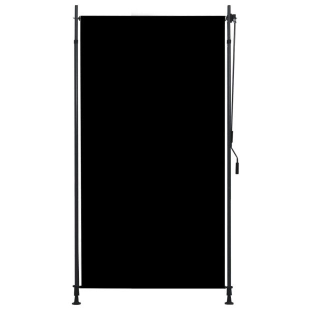 Outdoor Roller Blind 120x270 Cm Anthracite Image 2