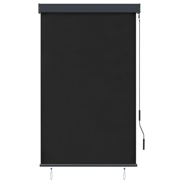 Outdoor Roller Blind 100x250 Cm Anthracite Image 2