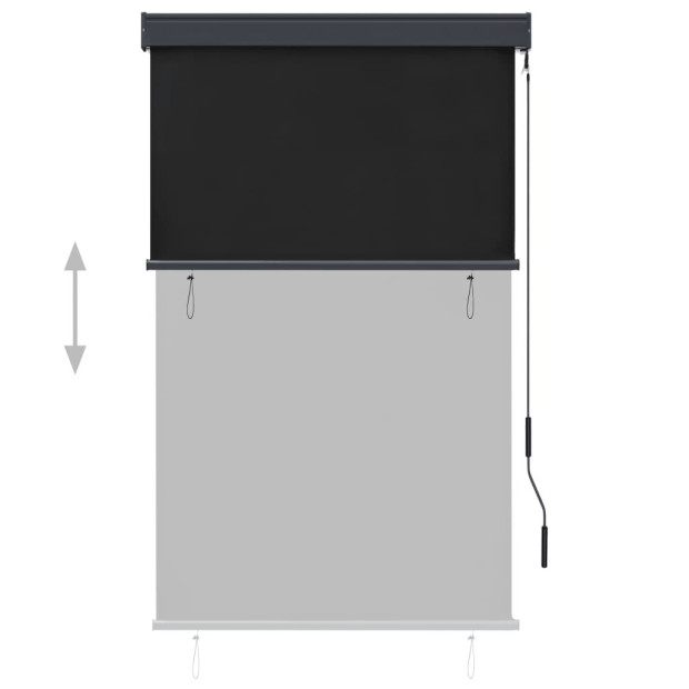 Outdoor Roller Blind 100x250 Cm Anthracite Image 3