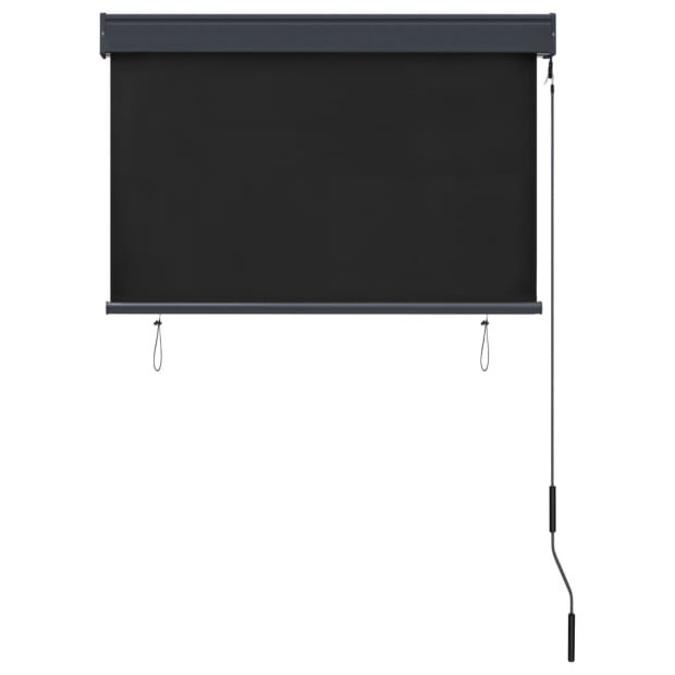 Outdoor Roller Blind 100x250 Cm Anthracite Image 4