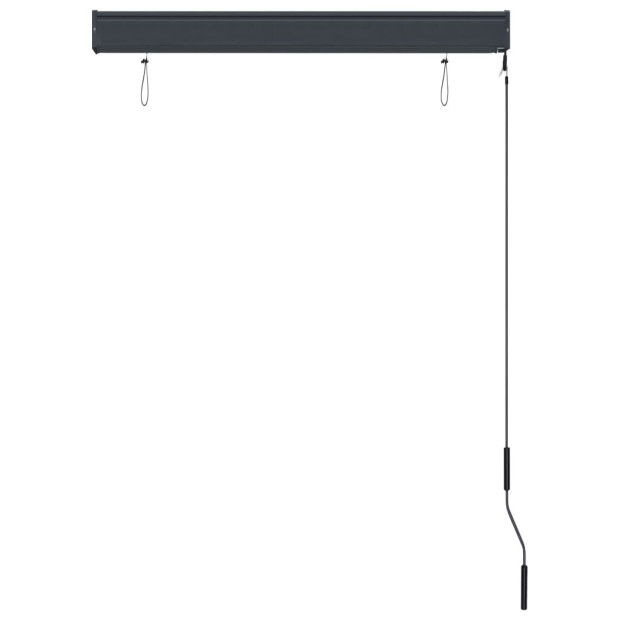 Outdoor Roller Blind 100x250 Cm Anthracite Image 5