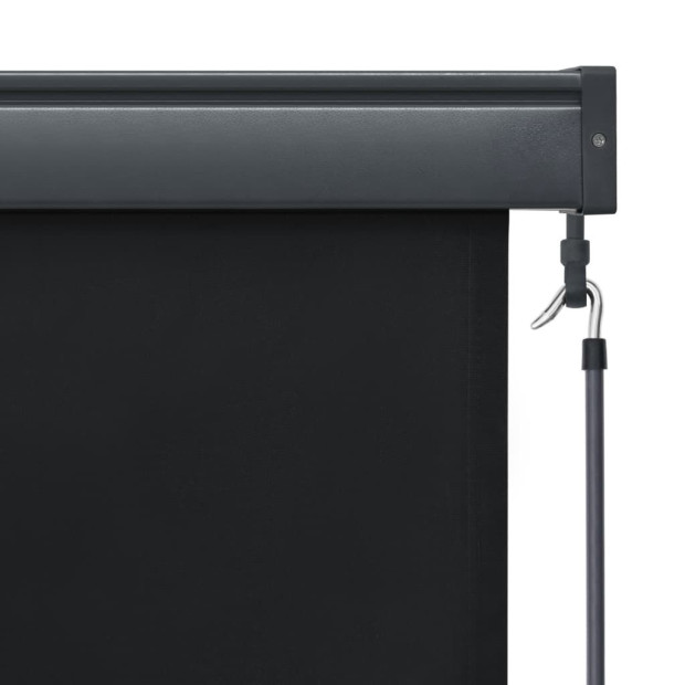 Outdoor Roller Blind 100x250 Cm Anthracite Image 6